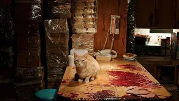 Задник до фильму"Голоси" #905596