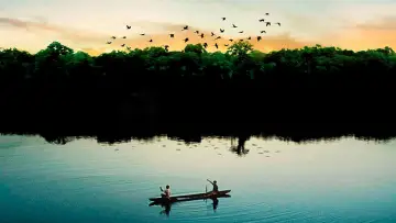 Amazônia Eterna постер
