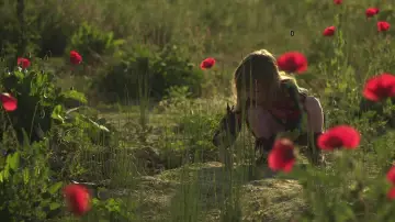 Задник до фильму"Mama Europa" #1200627