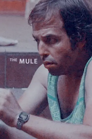 The Mule