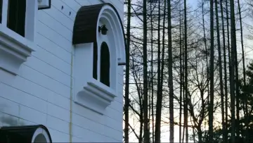 Задник до фильму"女豹" #1090143