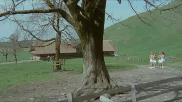 Задник до фильму"Sechs Schwedinnen auf der Alm" #434113