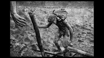 Задник до фільму "Сіль землі" #1084327