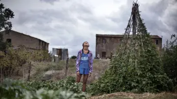 Задник до фильму"Le meraviglie" #1077131