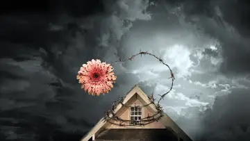 Задник до фильму"Petals on the Wind" #358833