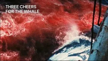Задник до фільму "Vive la baleine" #1574441