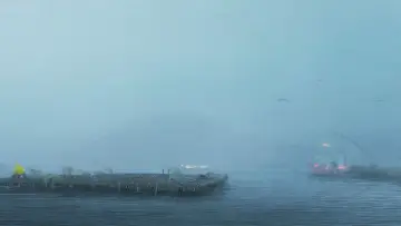 Задник до фильму"Entre Bateas" #1162613