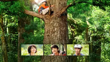 Задник до фільму "WOOD JOB! ～神去なあなあ日常～" #1637374