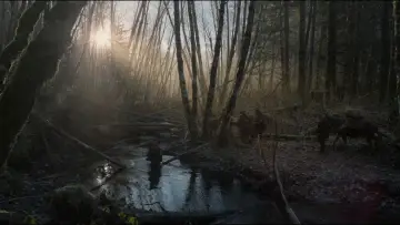Задник до фильму"Легенда Г’ю Ґласса" #516963