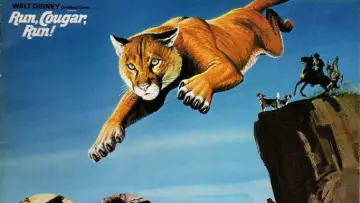 Задник до фильму"Run, Cougar, Run" #1042835