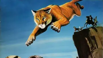 Задник до фильму"Run, Cougar, Run" #404459