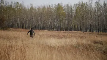Задник до фільму "心迷宫" #1052035