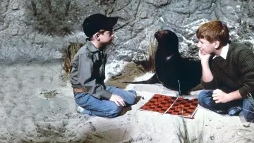 Задник до фильму"Sammy, the Way-Out Seal" #424686