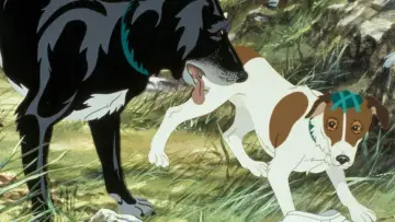 Задник до фильму"The Plague Dogs" #1047318