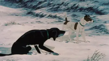 Задник до фильму"The Plague Dogs" #1047320