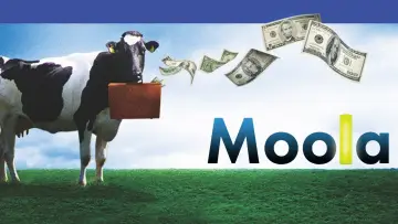 Задник до фильму"Moola" #1108782