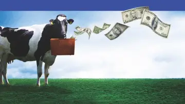 Задник до фильму"Moola" #1108784