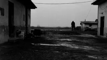 Задник до фильму"Сатантанго" #1011121
