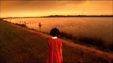 Задник до фильму"嫌われ松子の一生" #882656