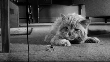 Задник до фильму"The Incredible Shrinking Man" #212646