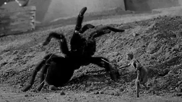 Задник до фильму"The Incredible Shrinking Man" #212652