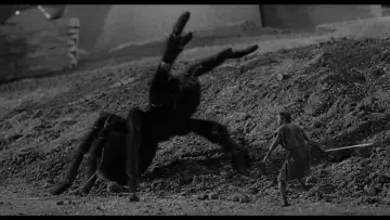 Задник до фильму"The Incredible Shrinking Man" #212656