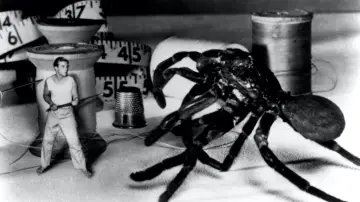 Задник до фильму"The Incredible Shrinking Man" #986891