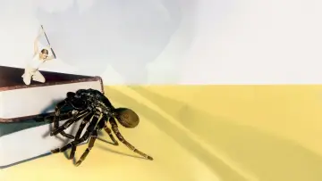 Задник до фильму"The Incredible Shrinking Man" #986894