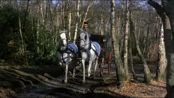 Задник до фильму"Вампірки-коханки" #1048391