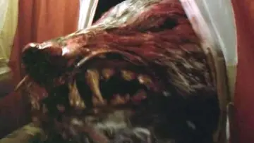 Задник до фільму "The Marsupials: The Howling III" #1653175