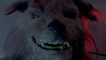 Задник до фільму "The Marsupials: The Howling III" #1653181
