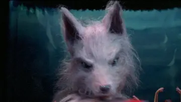 Задник до фільму "The Marsupials: The Howling III" #1653186