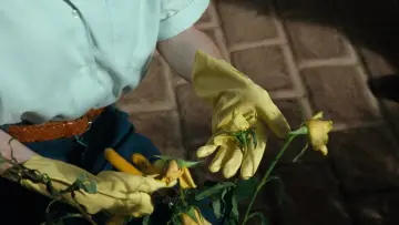 Задник до фильму"Безпека" #907992