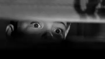 Задник до фильму"The Window" #502122
