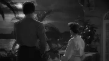 Задник до фильму"Now, Voyager" #1041583