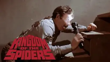 Задник до фильму"Kingdom of the Spiders" #1138811