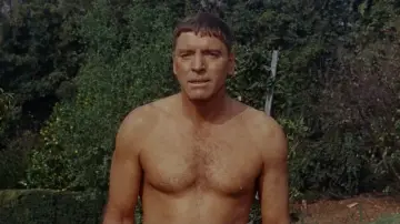 Задник до фильму"The Swimmer" #1031244