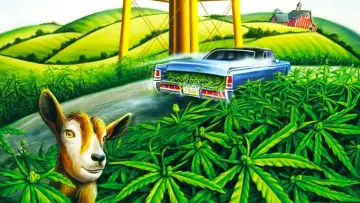 Задник до фильму"Rolling Kansas" #501171