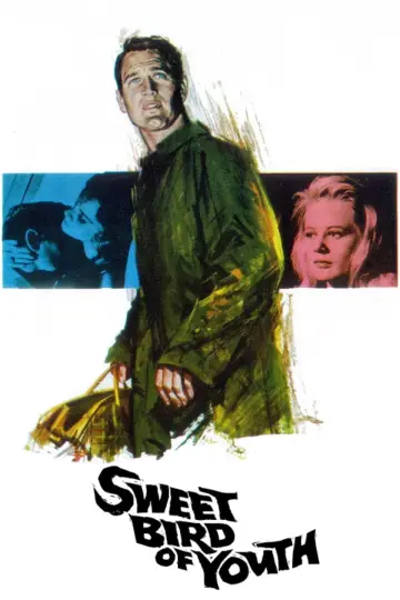 Sweet Bird of Youth постер