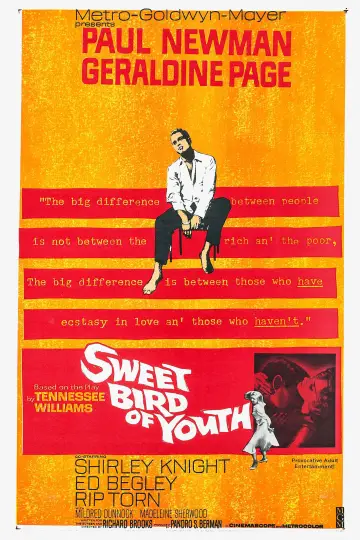 Постер до фильму"Sweet Bird of Youth" #1068000