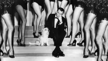 Задник до фильму"Pal Joey" #1125524
