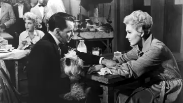 Задник до фильму"Pal Joey" #493691