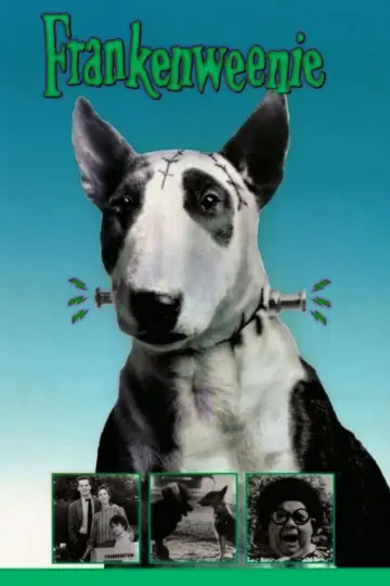 Постер до фильму"Frankenweenie" #743657
