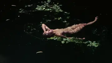 Задник до фильму"Walkabout" #226140