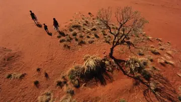 Задник до фильму"Walkabout" #226154