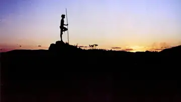 Задник до фильму"Walkabout" #897516