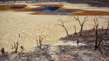 Задник до фильму"Walkabout" #897526
