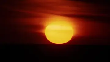 Задник до фильму"Walkabout" #897528