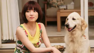 Задник до фільму "犬と私の10の約束" #1910261