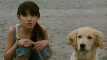Задник до фільму "犬と私の10の約束" #1910262